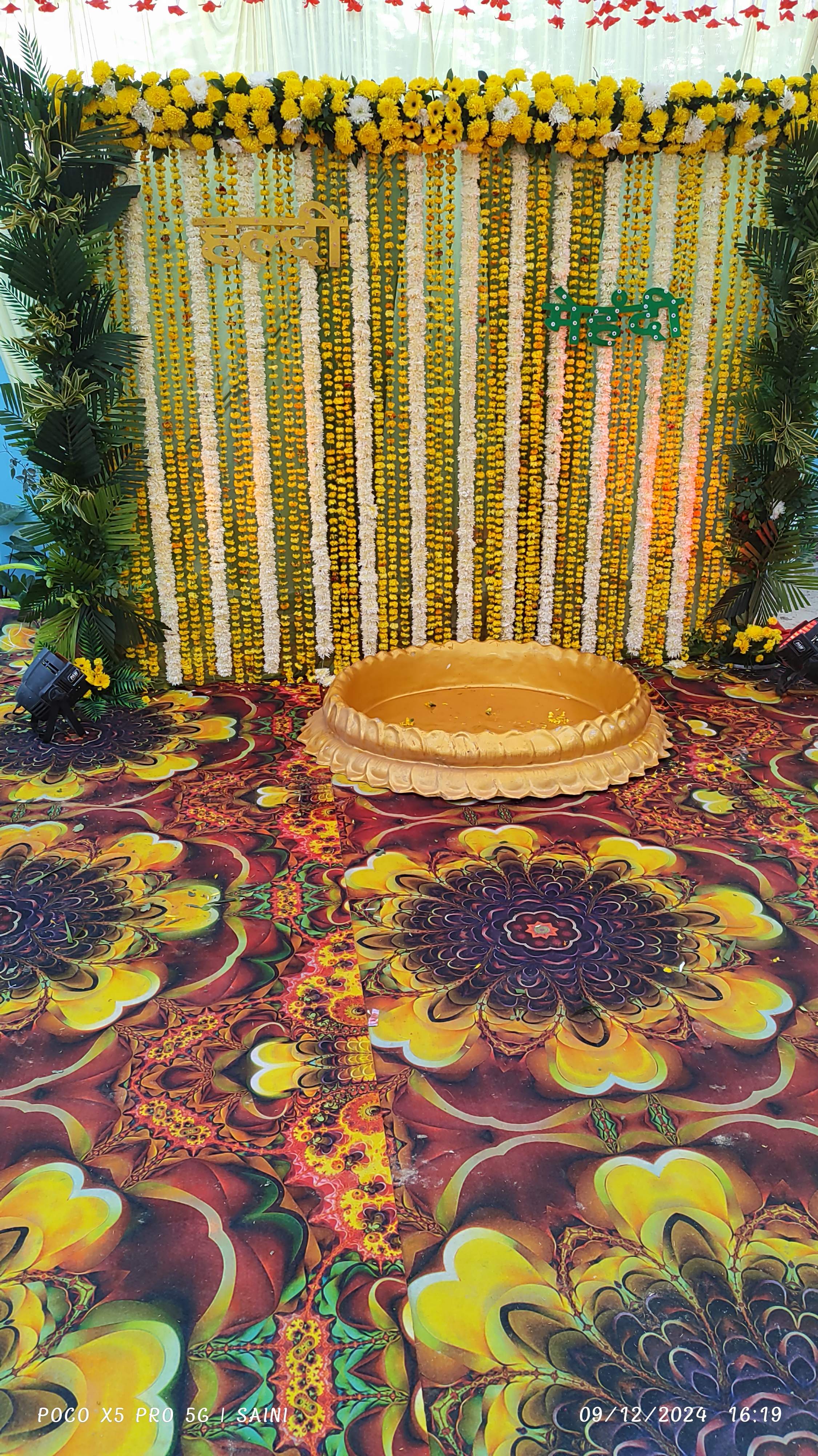 Website illustration